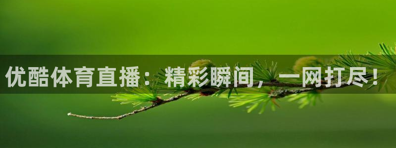 球友直播app：优酷体育直播：精彩瞬间，一网打尽！