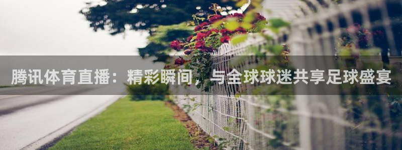 球友直播pc：腾讯体育直播：精彩瞬间，与全球球迷共享足球盛宴