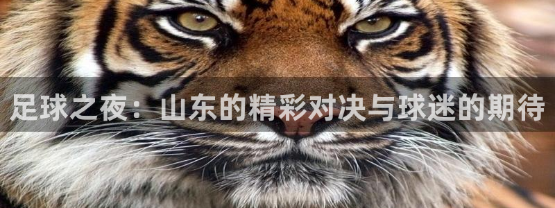 球友直播免费版：足球之夜：山东的精彩对决与球迷的期待
