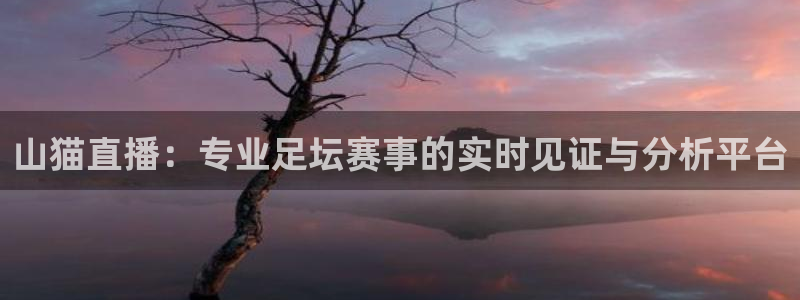 球友直播app官方下载：山猫直播：专业足坛赛事的实时见证与分析平台