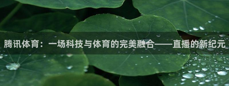 球友直播app下载官网：腾讯体育：一场科技与体育的完美融合——直播的新纪元