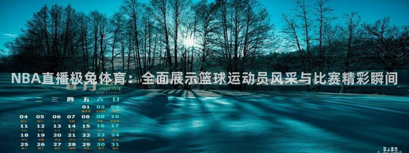 球友直播app：NBA直播极兔体育：全面展示篮球运动员风采与比赛精彩瞬间