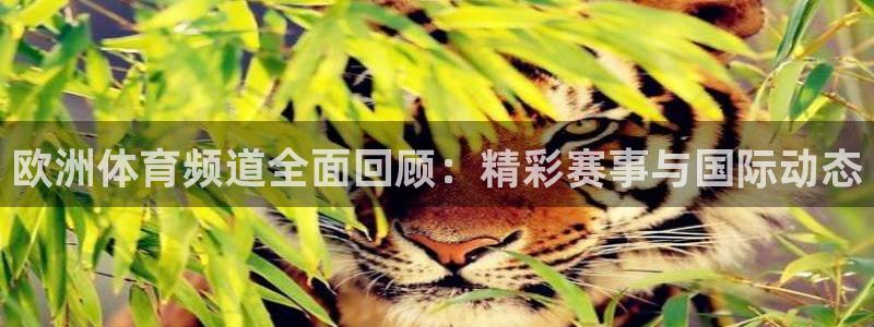 球友直播：欧洲体育频道全面回顾：精彩赛事与国际动态
