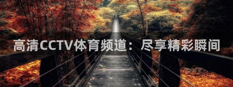 球友直播app官方下载：高清CCTV体育频道：尽享精彩瞬间