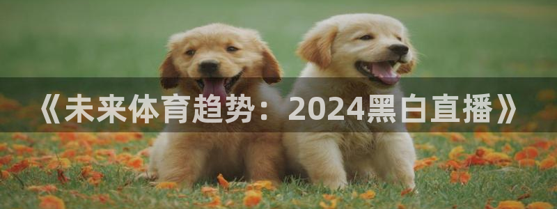 球友直播在线观看免费：《未来体育趋势：2024黑白直播》