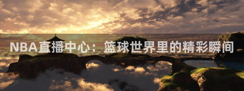 球友直播直播入口在哪：NBA直播中心：篮球世界里的精彩瞬间