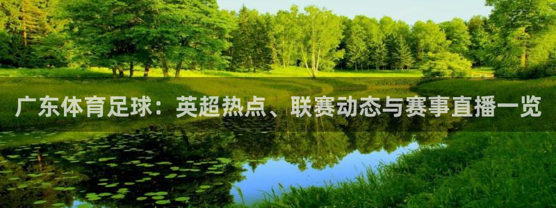 球友直播下载：广东体育足球：英超热点、联赛动态与赛事直播一览