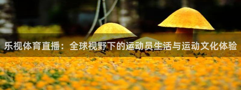 球友直播足球：乐视体育直播：全球视野下的运动员生活与运动文化体验