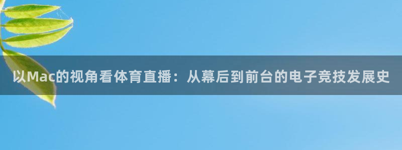 球友直播网：以Mac的视角看体育直播：从幕后到前台的电子竞技发展史