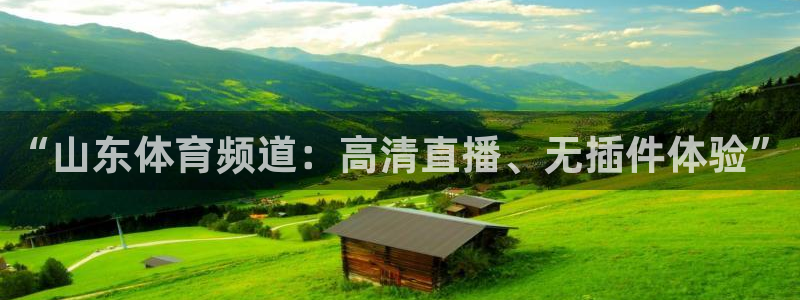 球友直播怎么下载：“山东体育频道：高清直播、无插件体验”