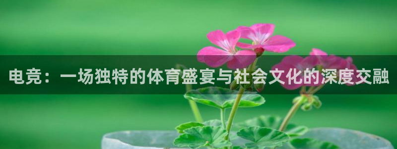 nba直播球友直播：电竞：一场独特的体育盛宴与社会文化的深度交融