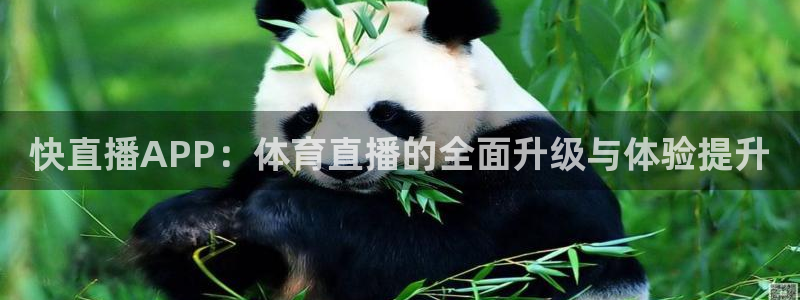 球友直播免费nba：快直播APP：体育直播的全面升级与体验提升