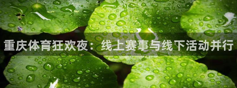 球友直播直播入口在哪：重庆体育狂欢夜：线上赛事与线下活动并行
