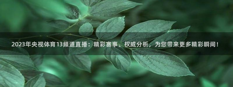 球友直播下载安全吗：2023年央视体育13频道直播：精彩赛事、权威分析，为您带来更多精彩瞬间！