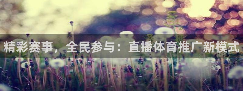 nba直播球友直播：精彩赛事，全民参与：直播体育推广新模式