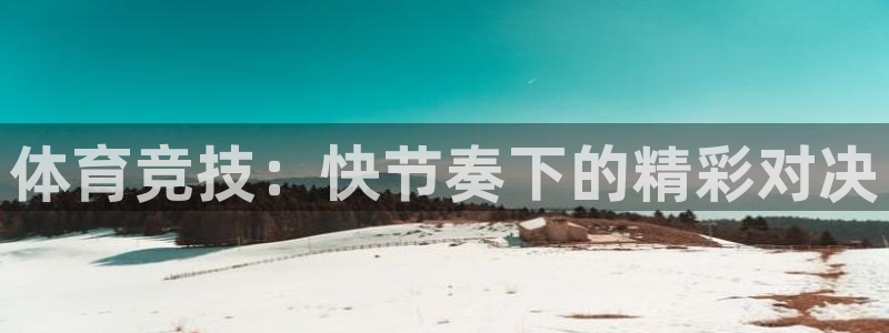 球友直播直播入口在哪：体育竞技：快节奏下的精彩对决