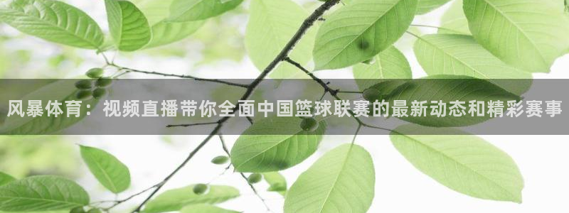 球友直播球友直播：风暴体育：视频直播带你全面中国篮球联赛的最新动态和精彩赛事